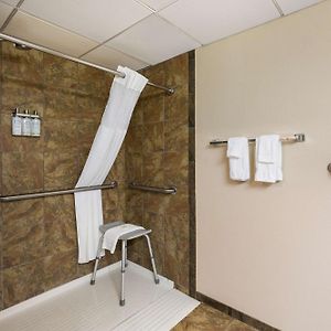 King Room Roll Shower Disability Access